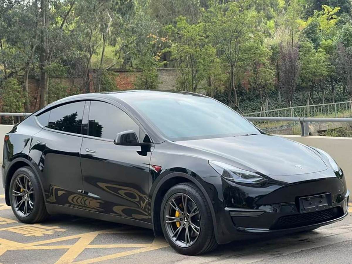 特斯拉 Model Y  2023款 煥新版 后輪驅(qū)動(dòng)圖片