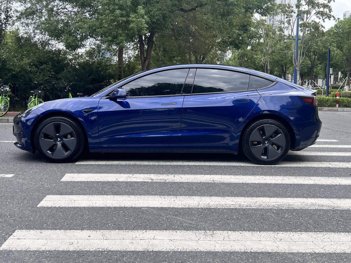 特斯拉 Model Y  2021款 標(biāo)準(zhǔn)續(xù)航后驅(qū)升級版 3D6圖片