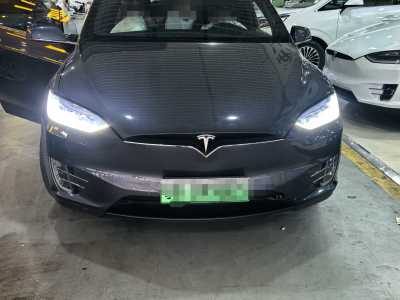 2017年9月 特斯拉 Model X Model X 100D 長(zhǎng)續(xù)航版圖片