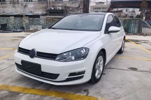 高爾夫 大眾 1.4TSI 自動豪華型