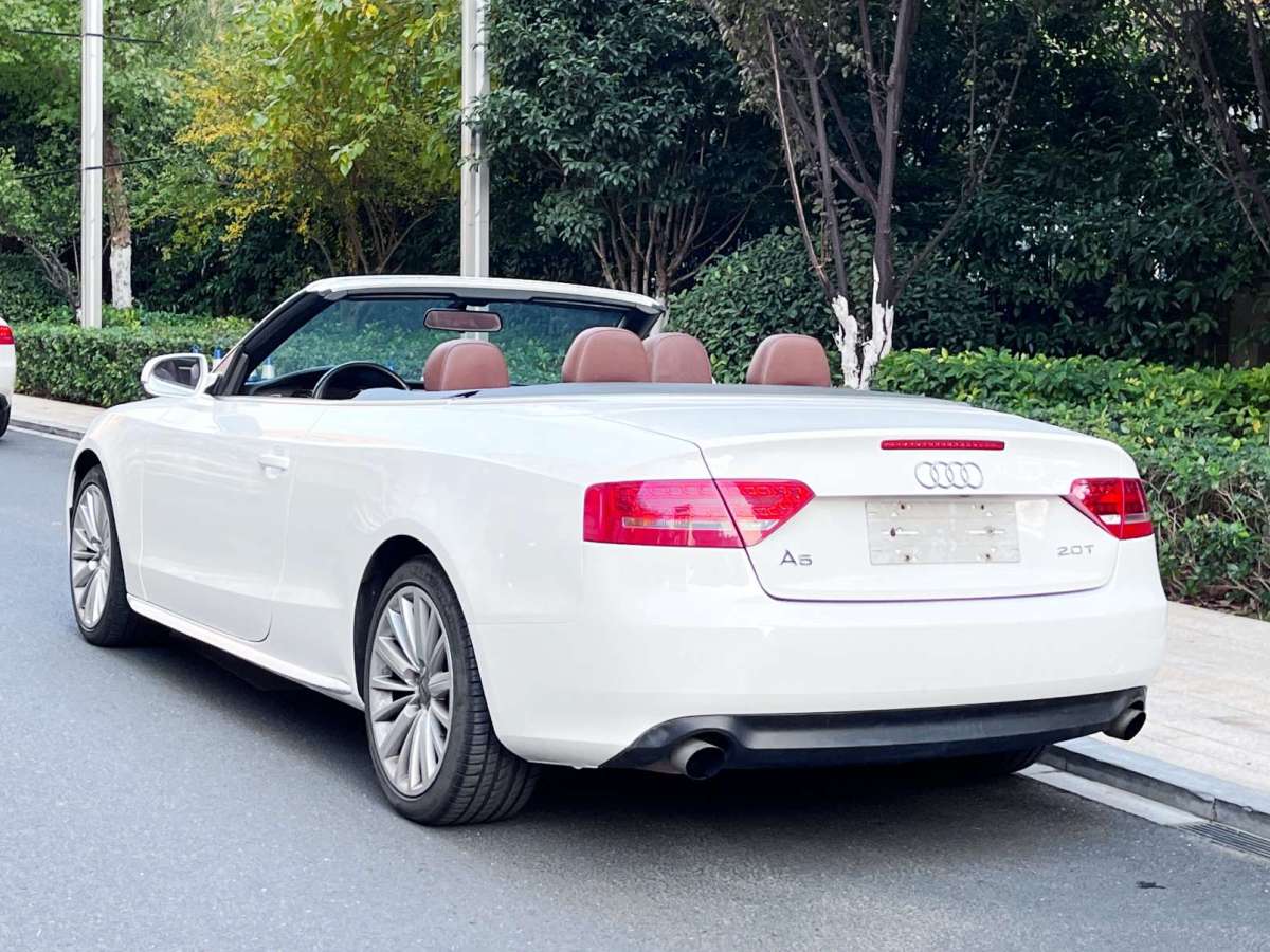 奧迪 奧迪A5  2010款 2.0TFSI Cabriolet圖片