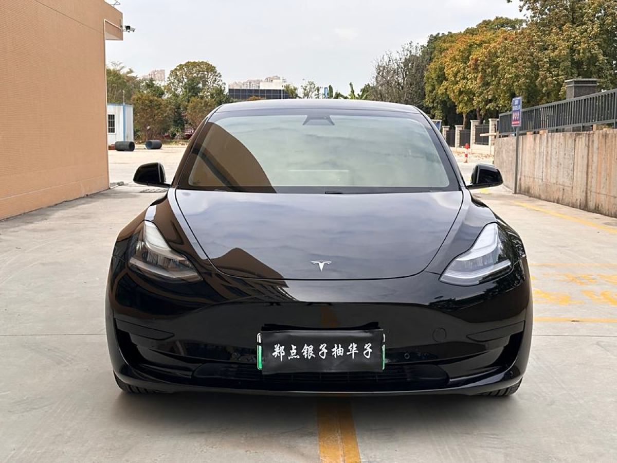 特斯拉 Model 3  2020款 改款 標準續(xù)航后驅升級版圖片