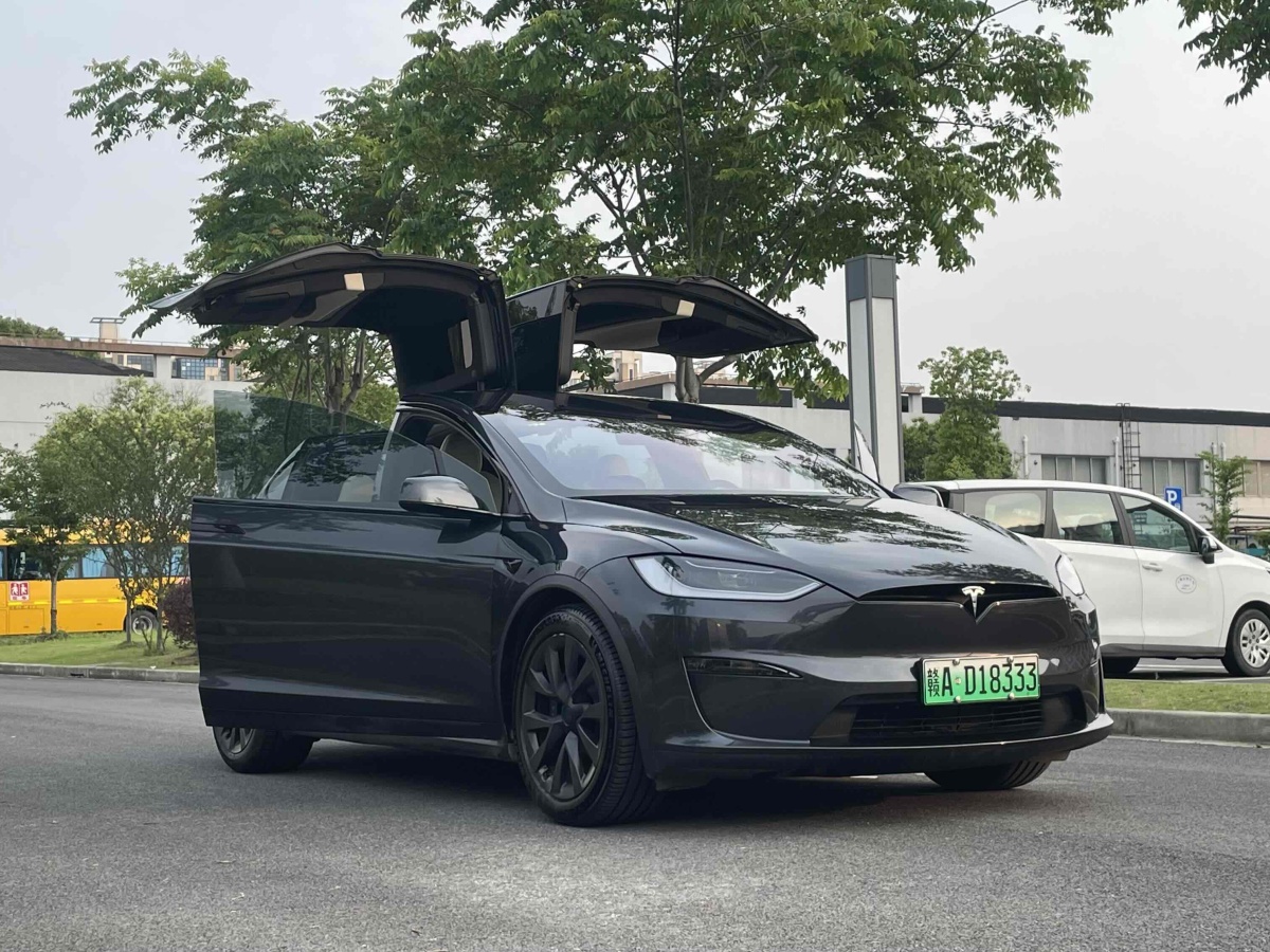 特斯拉 Model X  2023款 雙電機(jī)全輪驅(qū)動(dòng)版圖片