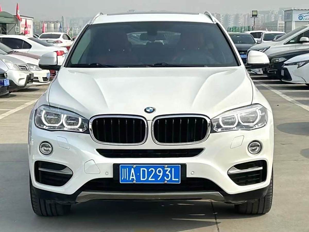 寶馬 寶馬X6  2018款 xDrive35i 領(lǐng)先型圖片