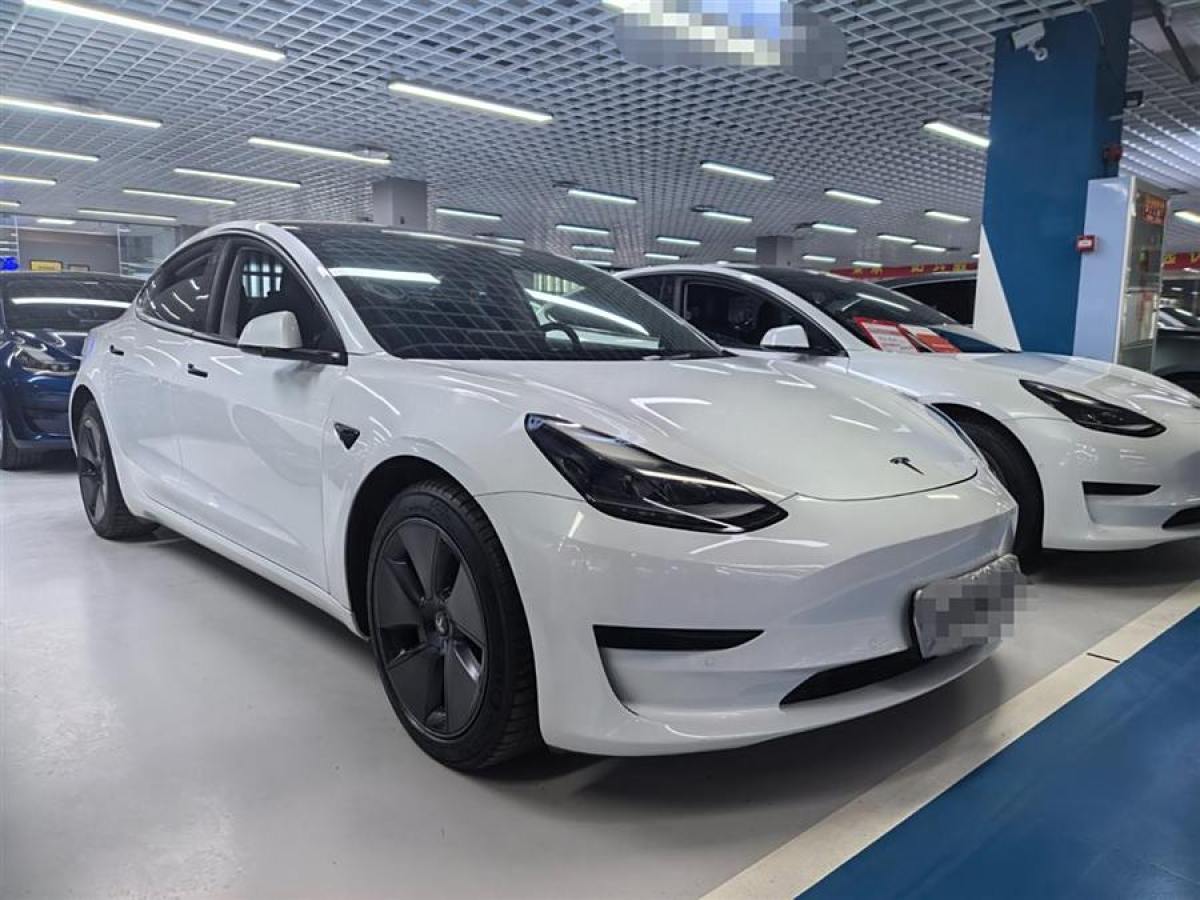 特斯拉 Model 3  2021款 改款 標(biāo)準(zhǔn)續(xù)航后驅(qū)升級版圖片