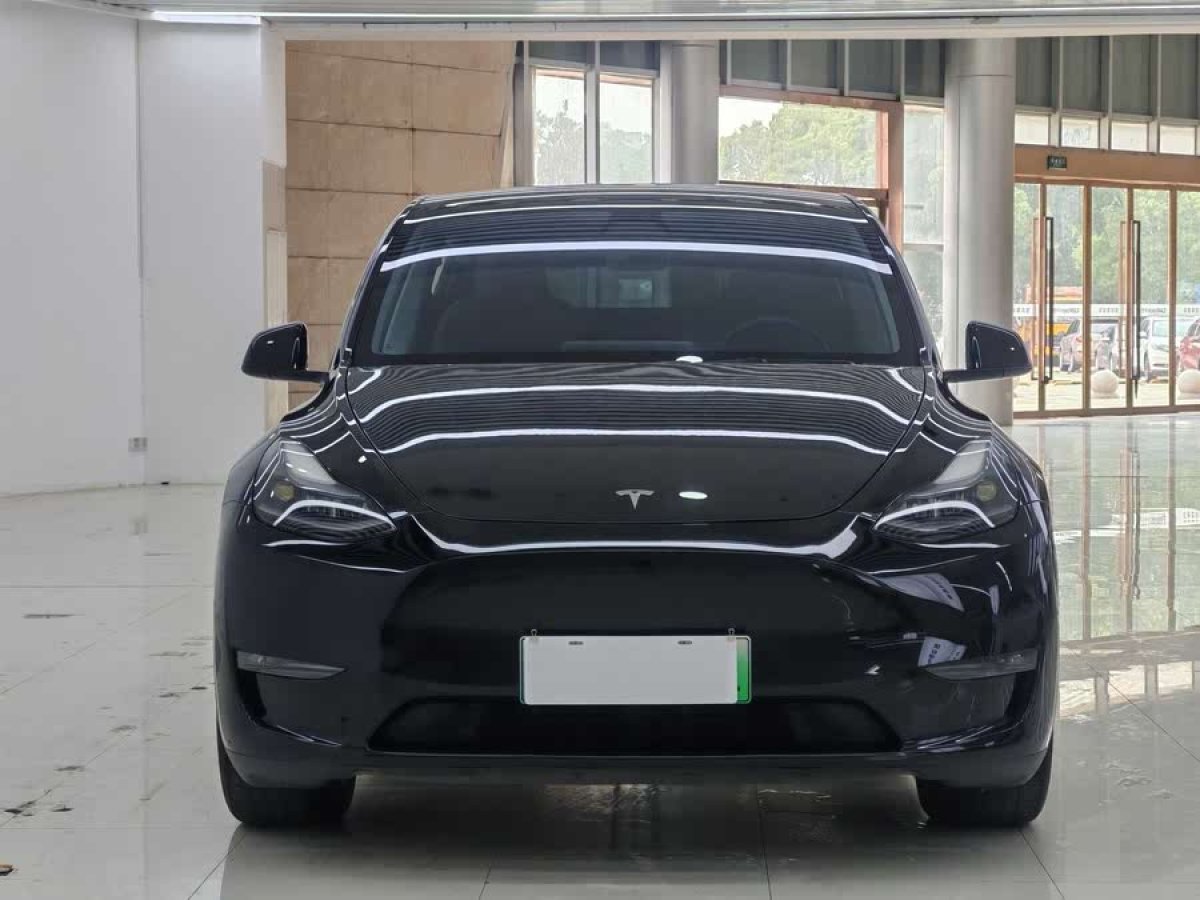 特斯拉 Model Y  2021款 標(biāo)準(zhǔn)續(xù)航后驅(qū)版圖片