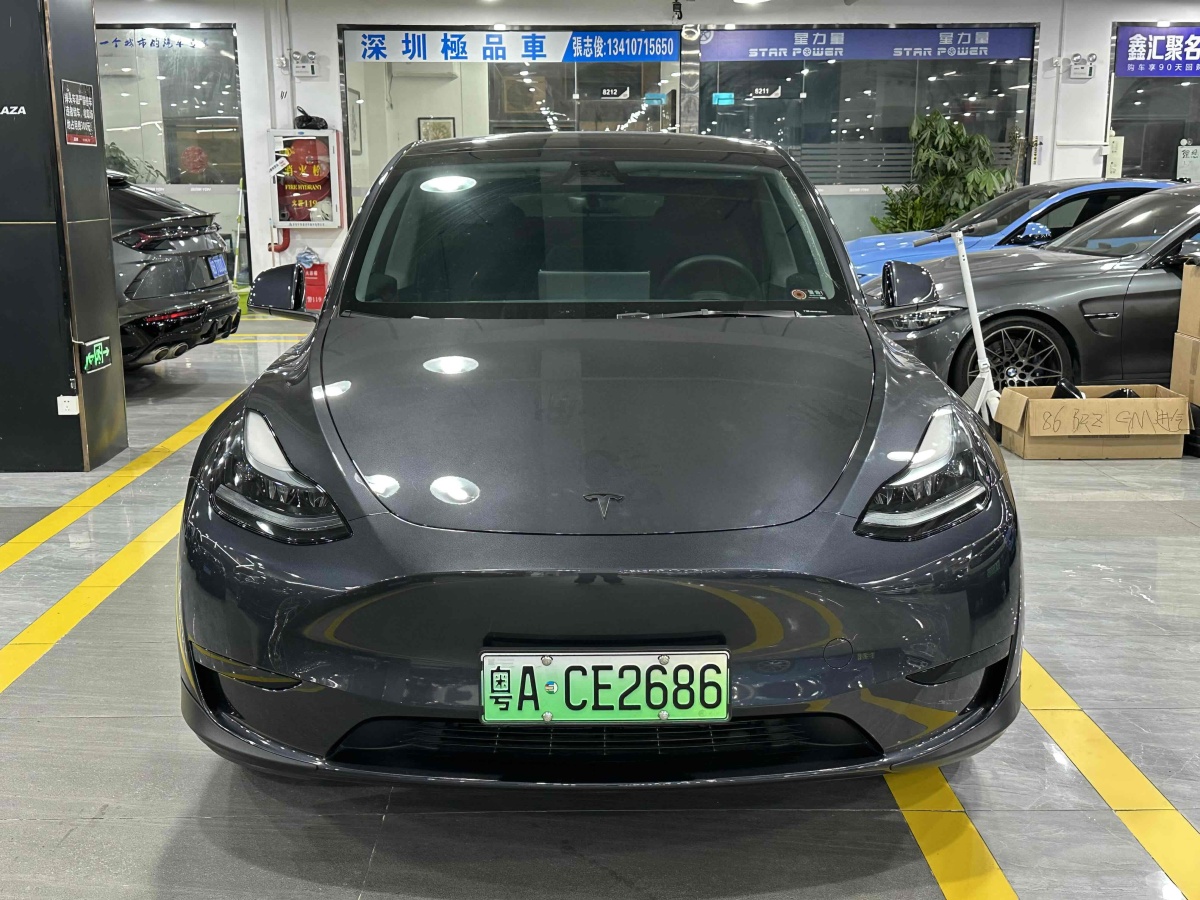 特斯拉 Model Y  2020款 改款 長續(xù)航后輪驅(qū)動版圖片