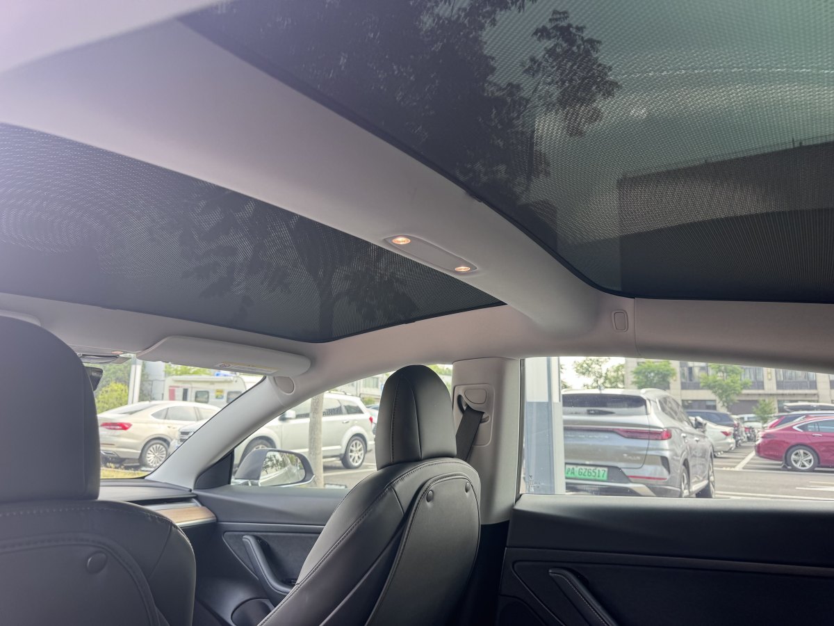 特斯拉 Model 3  2019款 長續(xù)航全輪驅(qū)動版圖片