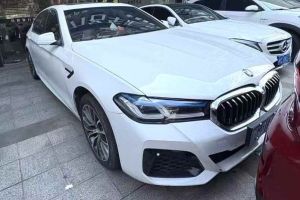 寶馬5系 寶馬 528i xDrive 2.0T 豪華型
