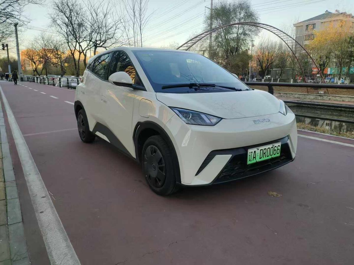 比亞迪 宋L DM-i  2024款 112km 超越型圖片