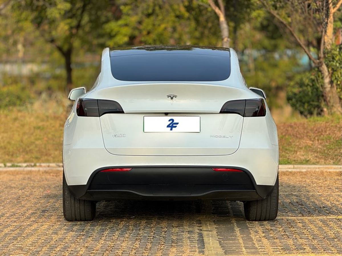 特斯拉 Model Y  2024款 長續(xù)航全輪驅(qū)動(dòng)版圖片