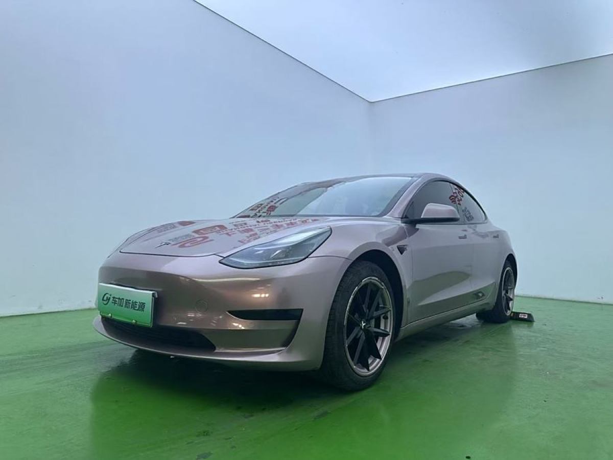 2021年3月特斯拉 Model 3  2021款 改款 標(biāo)準(zhǔn)續(xù)航后驅(qū)升級(jí)版