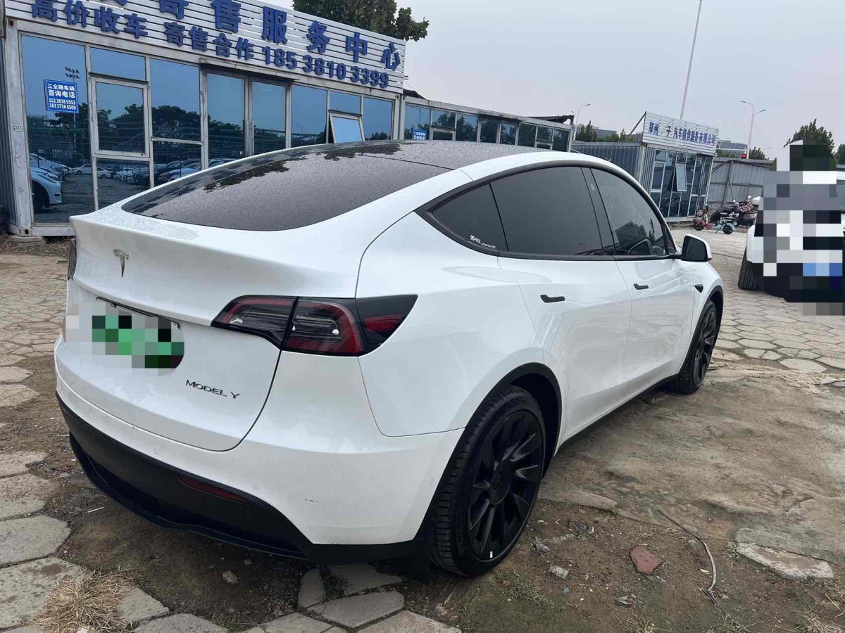 特斯拉 Model Y  2020款 改款 長(zhǎng)續(xù)航后輪驅(qū)動(dòng)版圖片