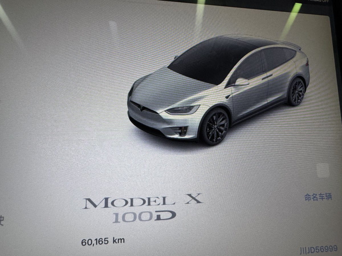 特斯拉 Model X  2017款 Model X 100D 長續(xù)航版圖片