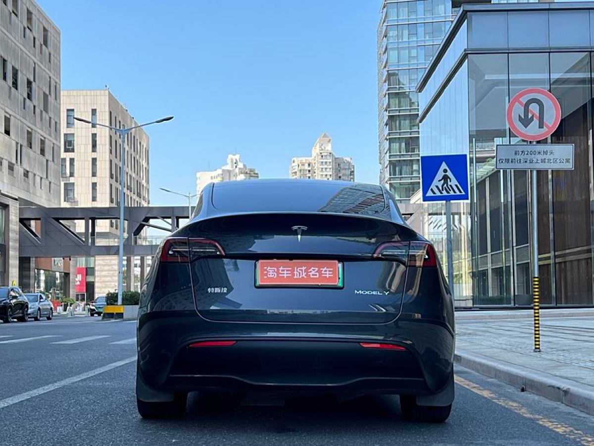 特斯拉 Model Y  2020款 改款 長續(xù)航后輪驅(qū)動版圖片