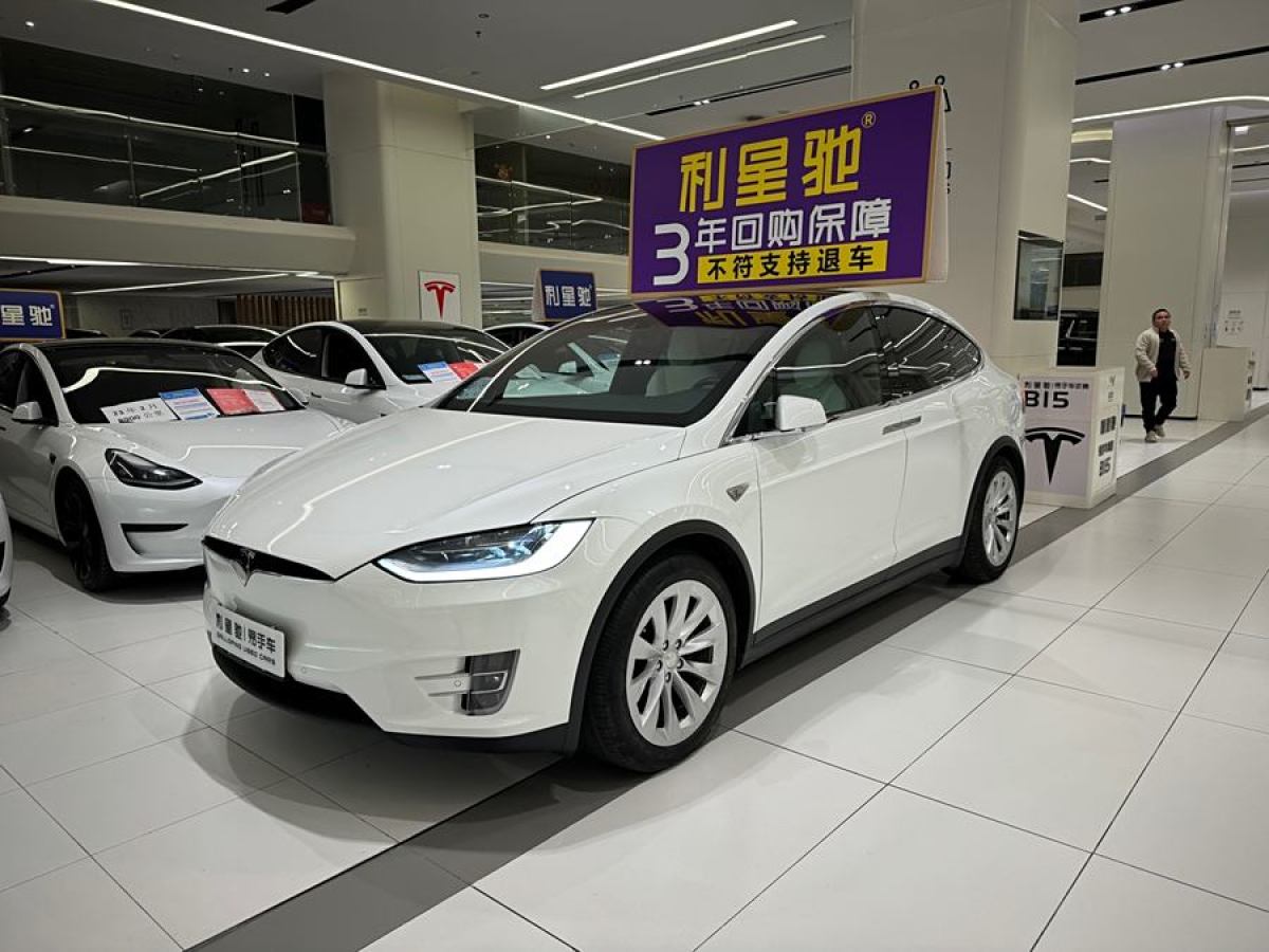 2016年10月特斯拉 Model X  2016款 Model X 90D