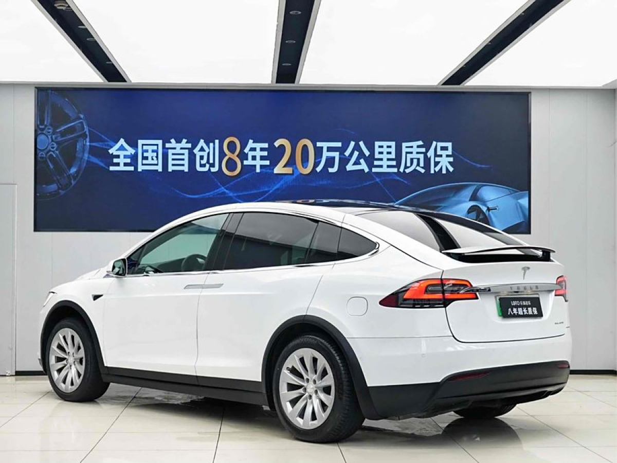 特斯拉 Model X  2019款 長續(xù)航版圖片