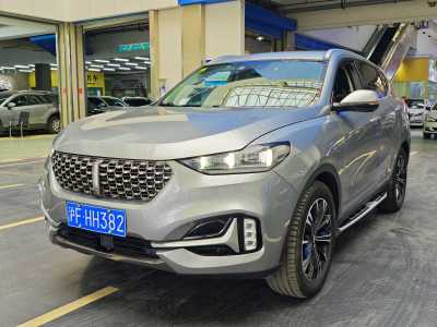 2021年1月 WEY VV6 2.0T 两驱智享+图片