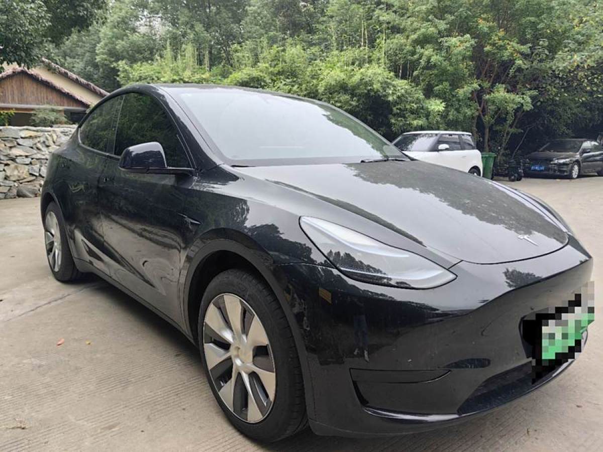 特斯拉 Model Y  2020款 改款 長(zhǎng)續(xù)航后輪驅(qū)動(dòng)版圖片