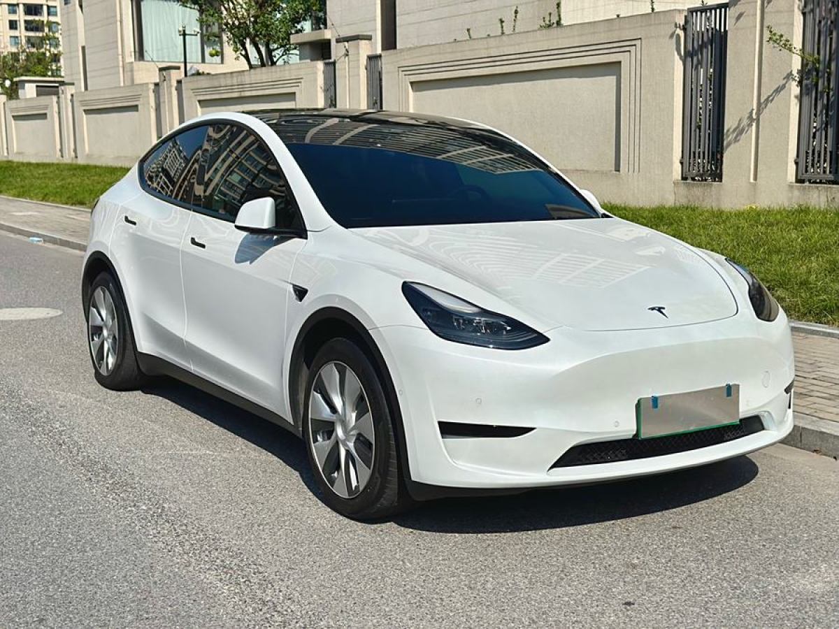 特斯拉 Model 3  2020款 改款 長(zhǎng)續(xù)航后輪驅(qū)動(dòng)版圖片