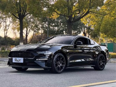 2019年3月 福特 Mustang(進(jìn)口) 2.3L EcoBoost圖片