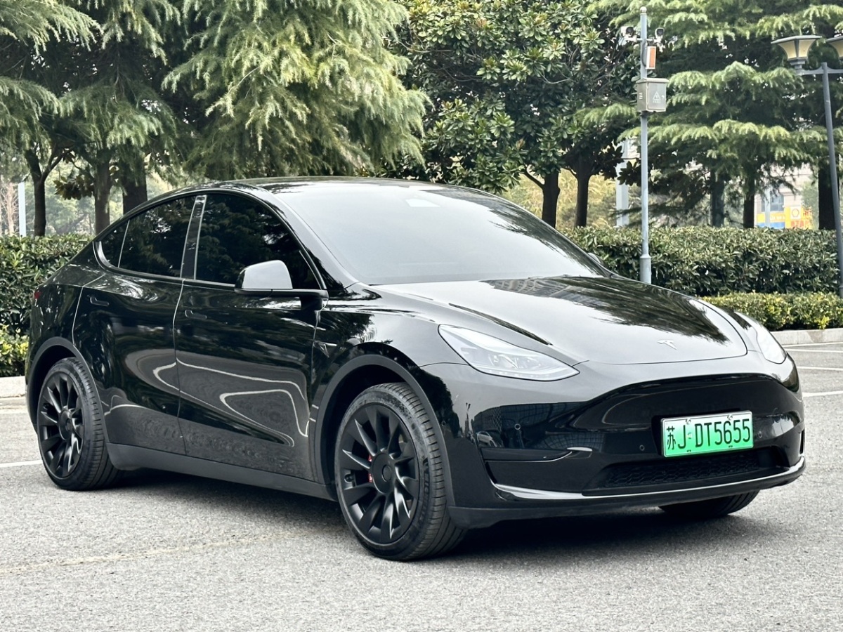 特斯拉 Model Y  2023款 后輪驅動版圖片