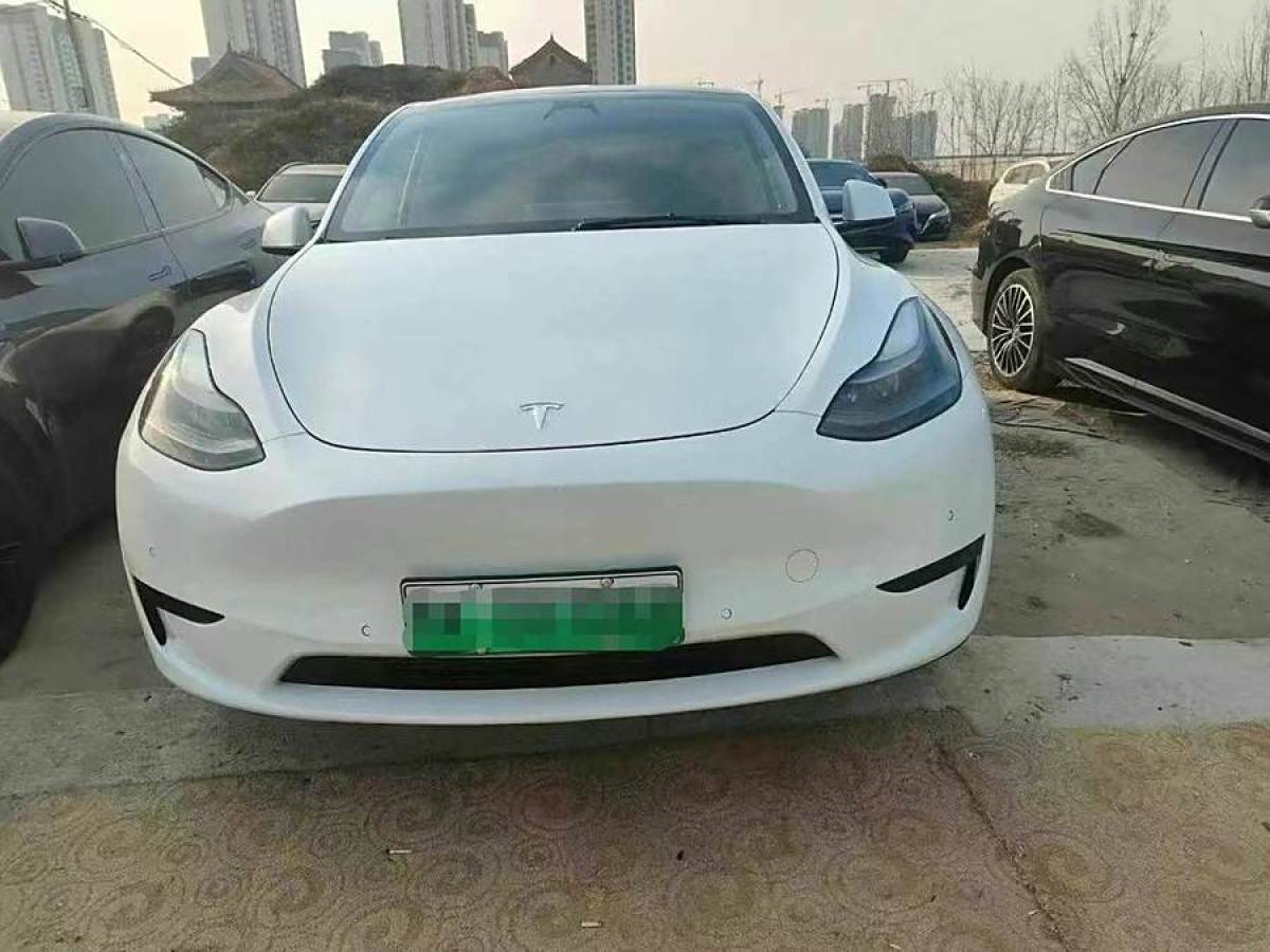 特斯拉 Model 3  2020款 改款 長續(xù)航后輪驅(qū)動(dòng)版圖片