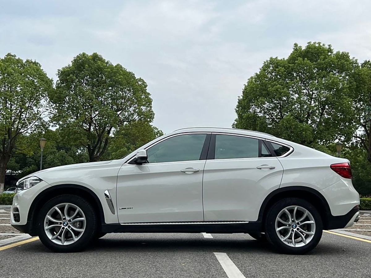 寶馬 寶馬X6  2015款 xDrive35i 領(lǐng)先型圖片