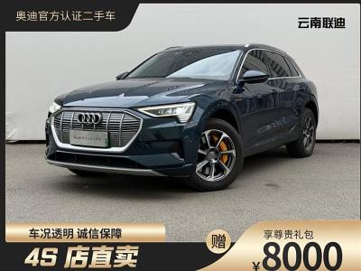 2020年6月 奧迪 奧迪e-tron(進(jìn)口) 55 quattro 時尚型圖片