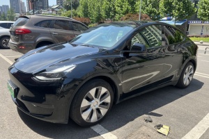 Model Y 特斯拉 標(biāo)準(zhǔn)續(xù)航后驅(qū)版