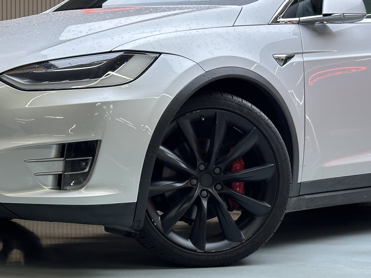 特斯拉 Model X  2016款 Model X P100D Performance高性能版圖片