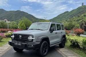坦克300 坦克 越野版 2.0T 征服者