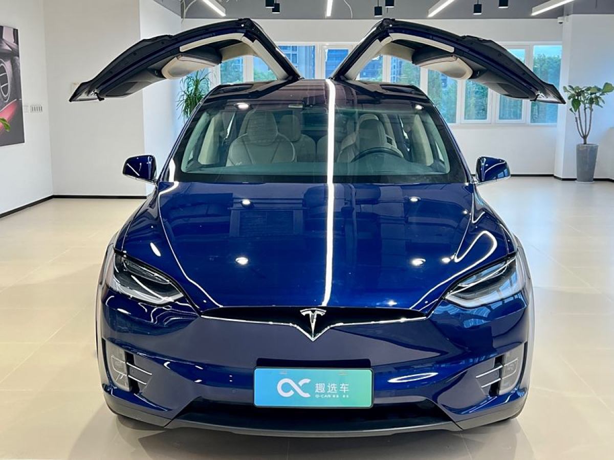 2019年1月特斯拉 Model X  2017款 Model X 100D 長(zhǎng)續(xù)航版