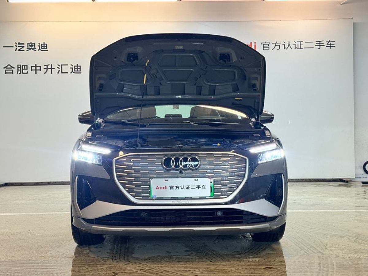 2024年1月奧迪 奧迪Q4 e-tron  2024款 40 e-tron 創(chuàng)境版