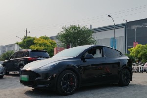 Model Y 特斯拉 標(biāo)準(zhǔn)續(xù)航后驅(qū)版