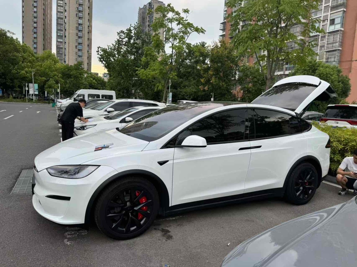 特斯拉 Model X  2023款 雙電機(jī)全輪驅(qū)動(dòng)版圖片