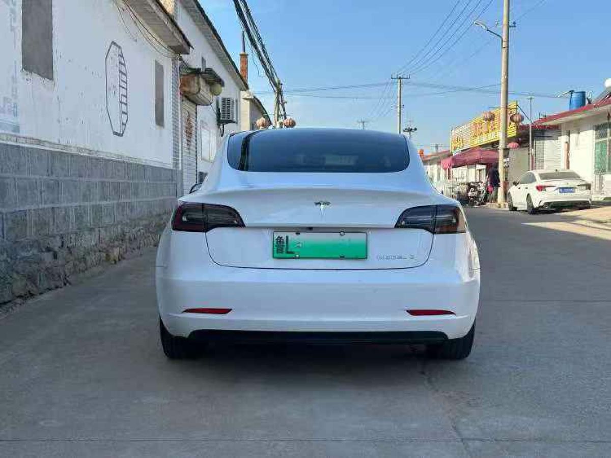 特斯拉 Model X  2020款 Performance 高性能版圖片