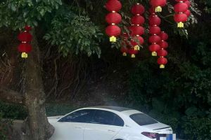 奔馳C級 奔馳 C 200 L 運動版