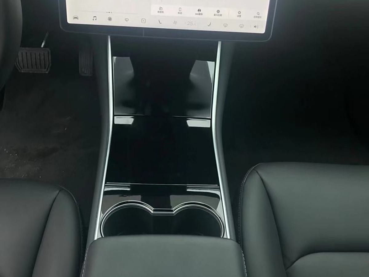 特斯拉 Model 3  2019款 標(biāo)準(zhǔn)續(xù)航后驅(qū)升級版圖片