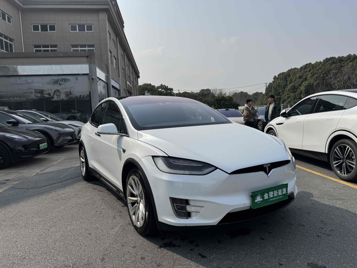 2019年4月特斯拉 Model X  2017款 Model X 100D 長(zhǎng)續(xù)航版