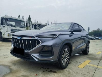 2022年6月 長安歐尚 長安歐尚X5 運動版 1.5T DCT旋風沖鋒圖片