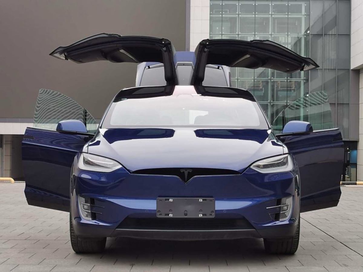 特斯拉 Model X  2020款 長(zhǎng)續(xù)航升級(jí)版圖片