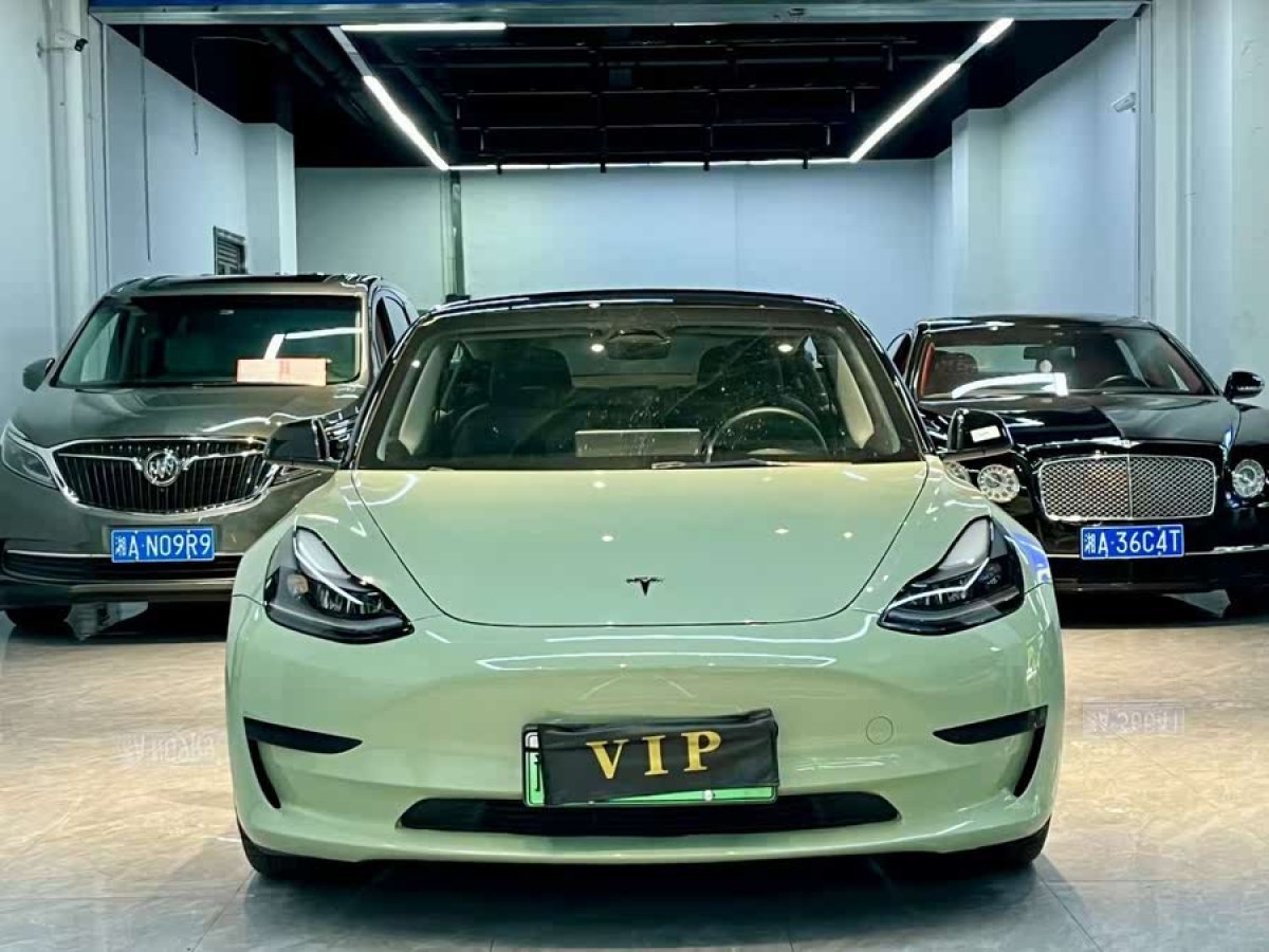 特斯拉 Model 3  2022款 后輪驅(qū)動(dòng)版圖片