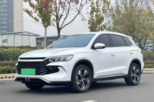 宋L 比亚迪 550km 卓越型