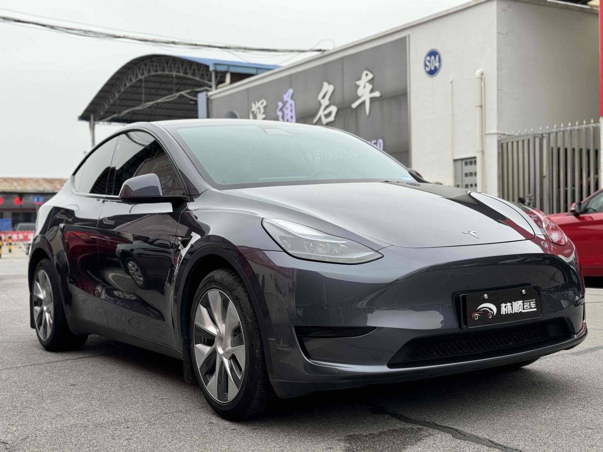 特斯拉 Model Y  2020款 改款 長(zhǎng)續(xù)航后輪驅(qū)動(dòng)版圖片