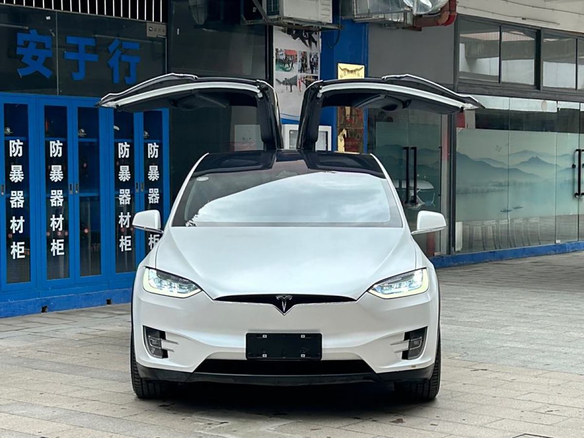 特斯拉 Model X  2019款 長續(xù)航版圖片