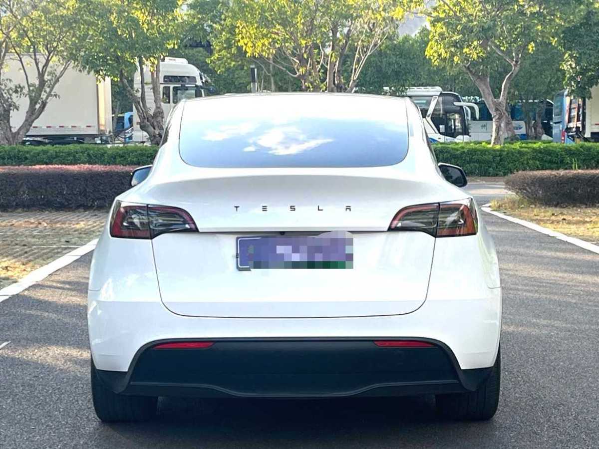 特斯拉 Model 3  2020款 改款 長續(xù)航后輪驅(qū)動版圖片