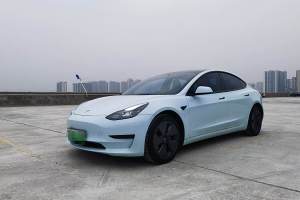 Model 3 特斯拉 改款 后轮驱动版