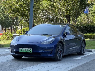 2022年3月 特斯拉 Model 3 Performance高性能全轮驱动版图片