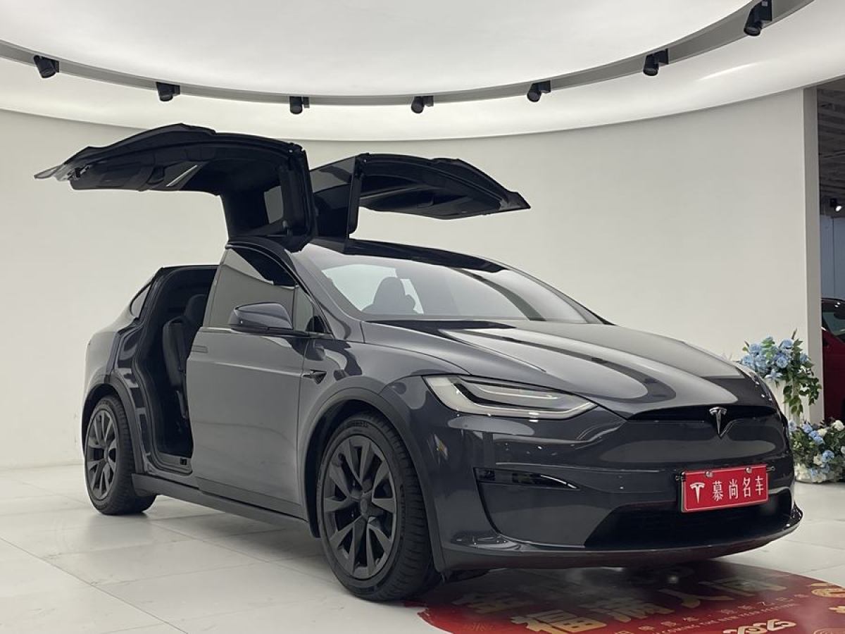 特斯拉 Model X  2023款 雙電機(jī)全輪驅(qū)動(dòng)版圖片